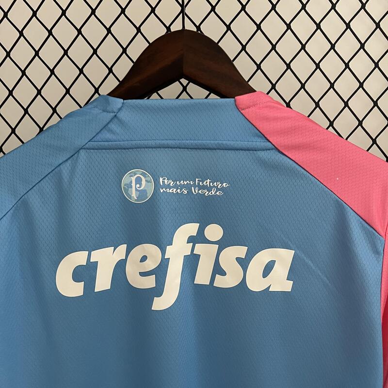 Camisa Palmeiras Edição Especial Rosa e Azul 23/24 - Puma Torcedor Masculina