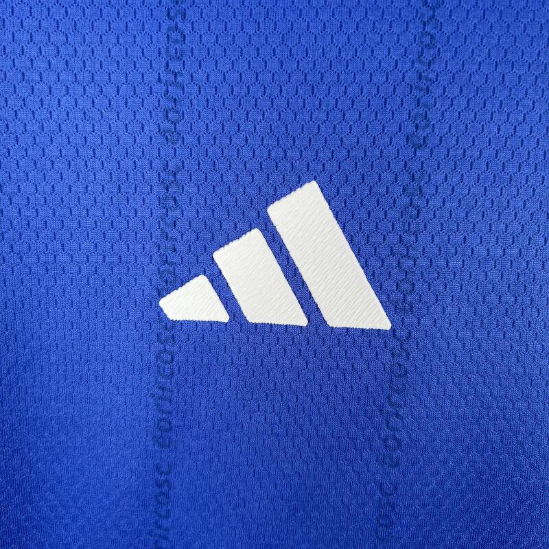 Camisa Palmeiras Edição Especial 23/24 - Puma Torcedor Masculina