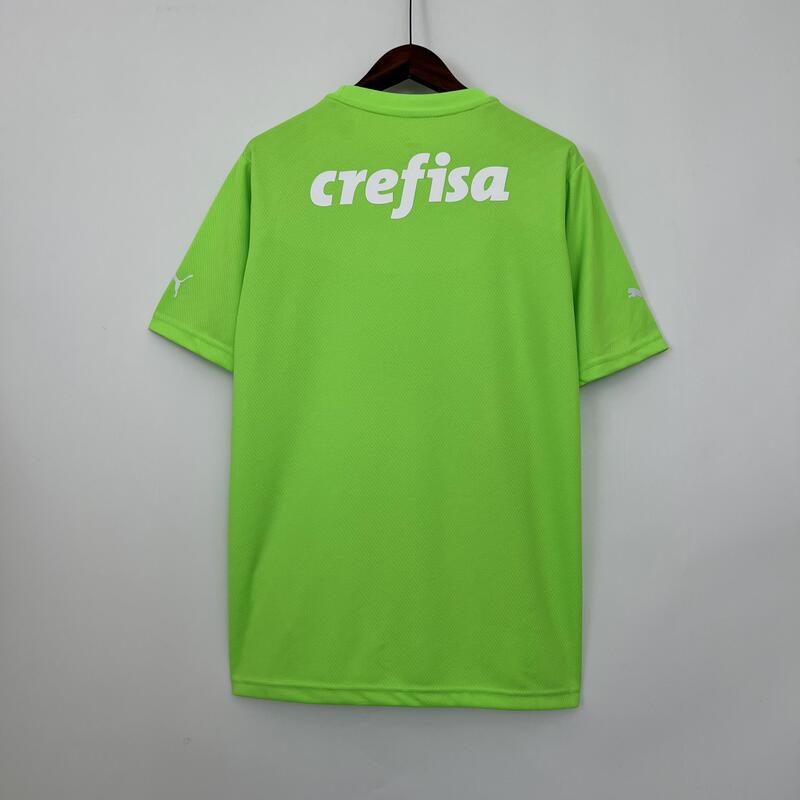 Camisa Palmeiras Goleiro Verde 23/24 - Puma Torcedor Masculina