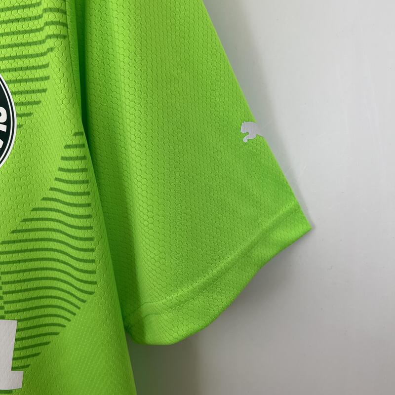 Camisa Palmeiras Goleiro Verde 23/24 - Puma Torcedor Masculina