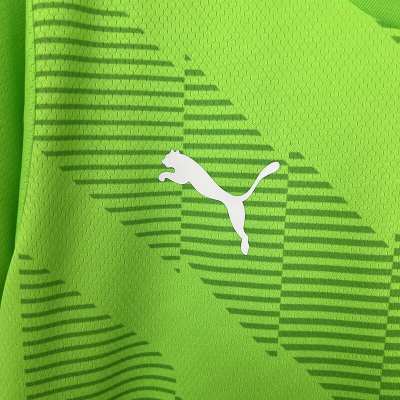 Camisa Palmeiras Goleiro Verde 23/24 - Puma Torcedor Masculina