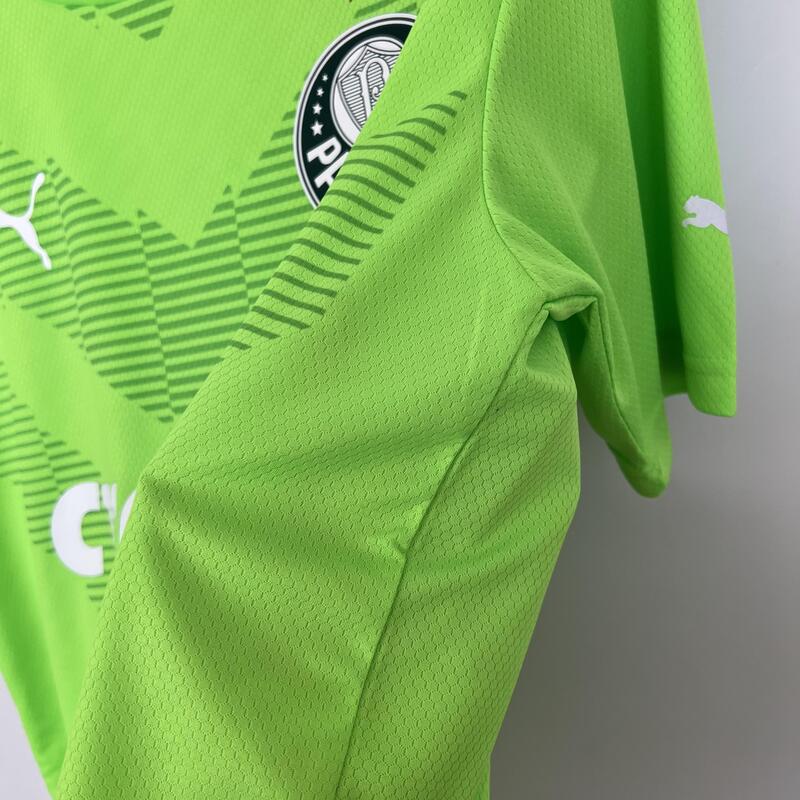 Camisa Palmeiras Goleiro Verde 23/24 - Puma Torcedor Masculina